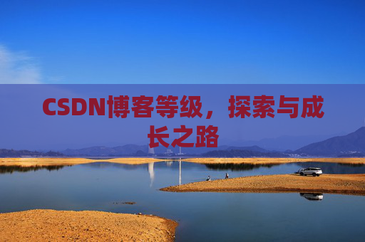 CSDN博客等级，探索与成长之路